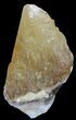 Dogtooth Calcite Crystal - Morocco #50180-1